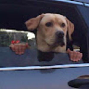 Meet your Posher, Kalee